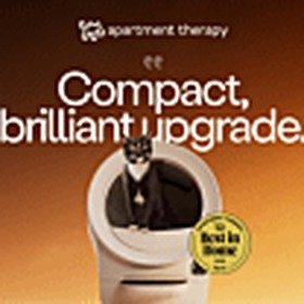 Litter-Robot EVO by Whisker (Black) compact automatic litter box