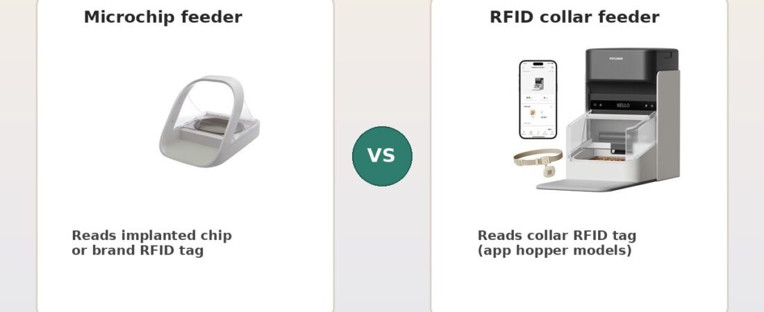 Microchip vs RFID Cat Feeder (2026 Comparison Guide)