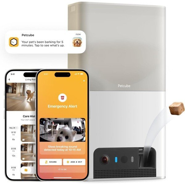 Petcube Bites 2 Lite